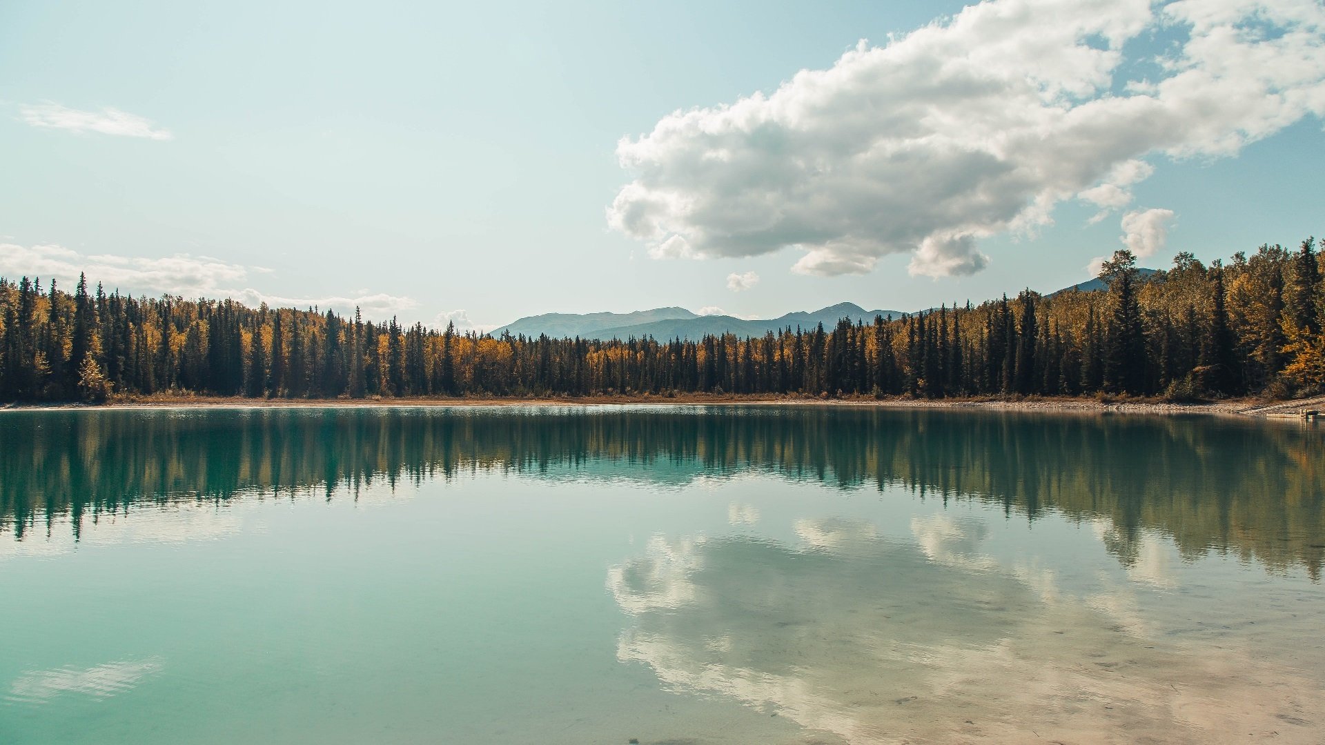 VR游戏新体验：沉浸式与互动性，vr沉浸式体验是什么意思