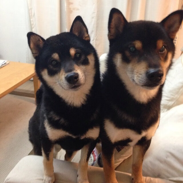 _国内外选手精彩对决,激发青少年运动热情_,青少年运动排名