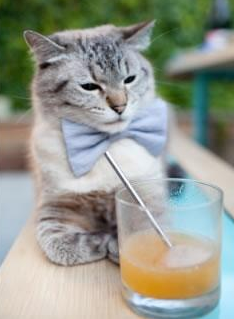 未来：全球化、数字化引领篮球新未来，未来数字化是什么意思