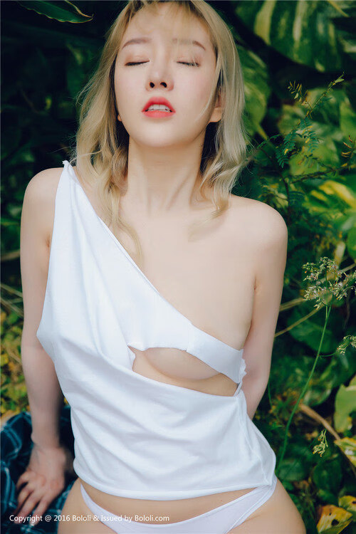 欧联杯溃败后，沃尔夫斯堡备战主场能否扭转颓势？，沃尔夫斯堡转会