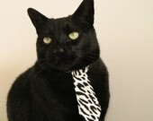 开云中国-浙江男篮遭受重创，难逃淘汰命运，浙江男篮厉害