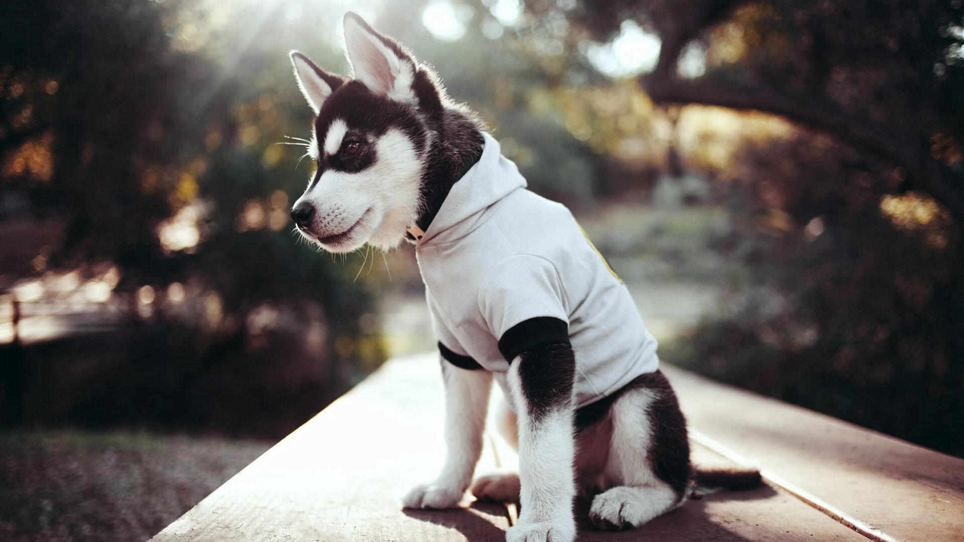 kaiyun开云·官方网站-电竞直播内容审核实践，电竞直播审核工作