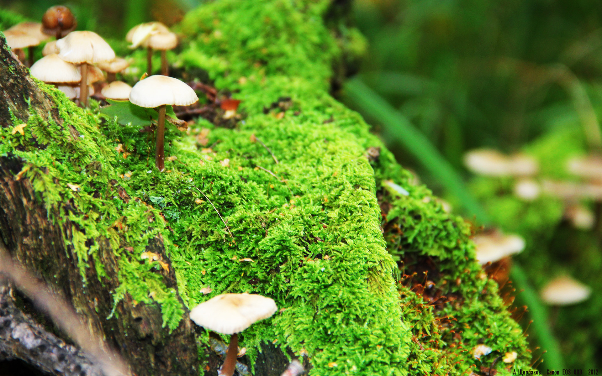 开云中国-电竞赛事转播质量提升，电竞赛事转播质量提升策略