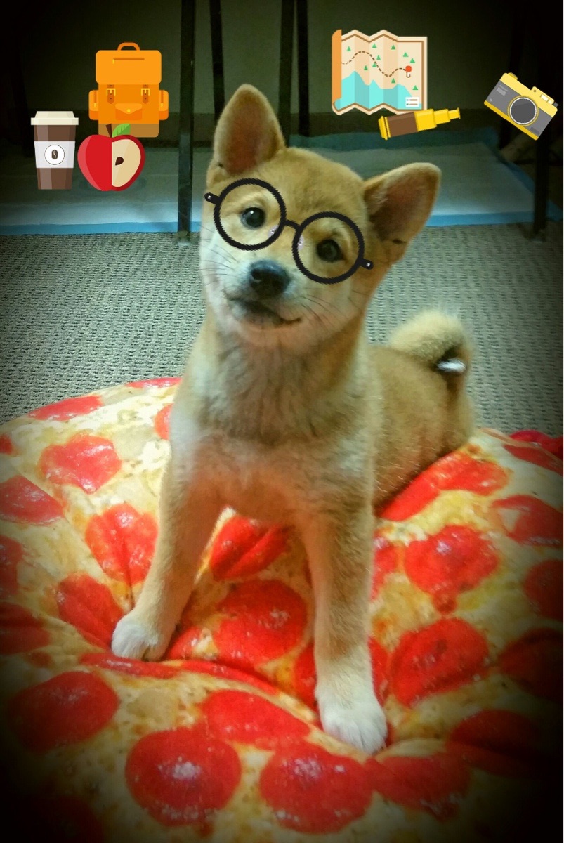 联盟是否应评估球员海外交流项目成效,联盟是否应评估球员海外交流项目成效的原因