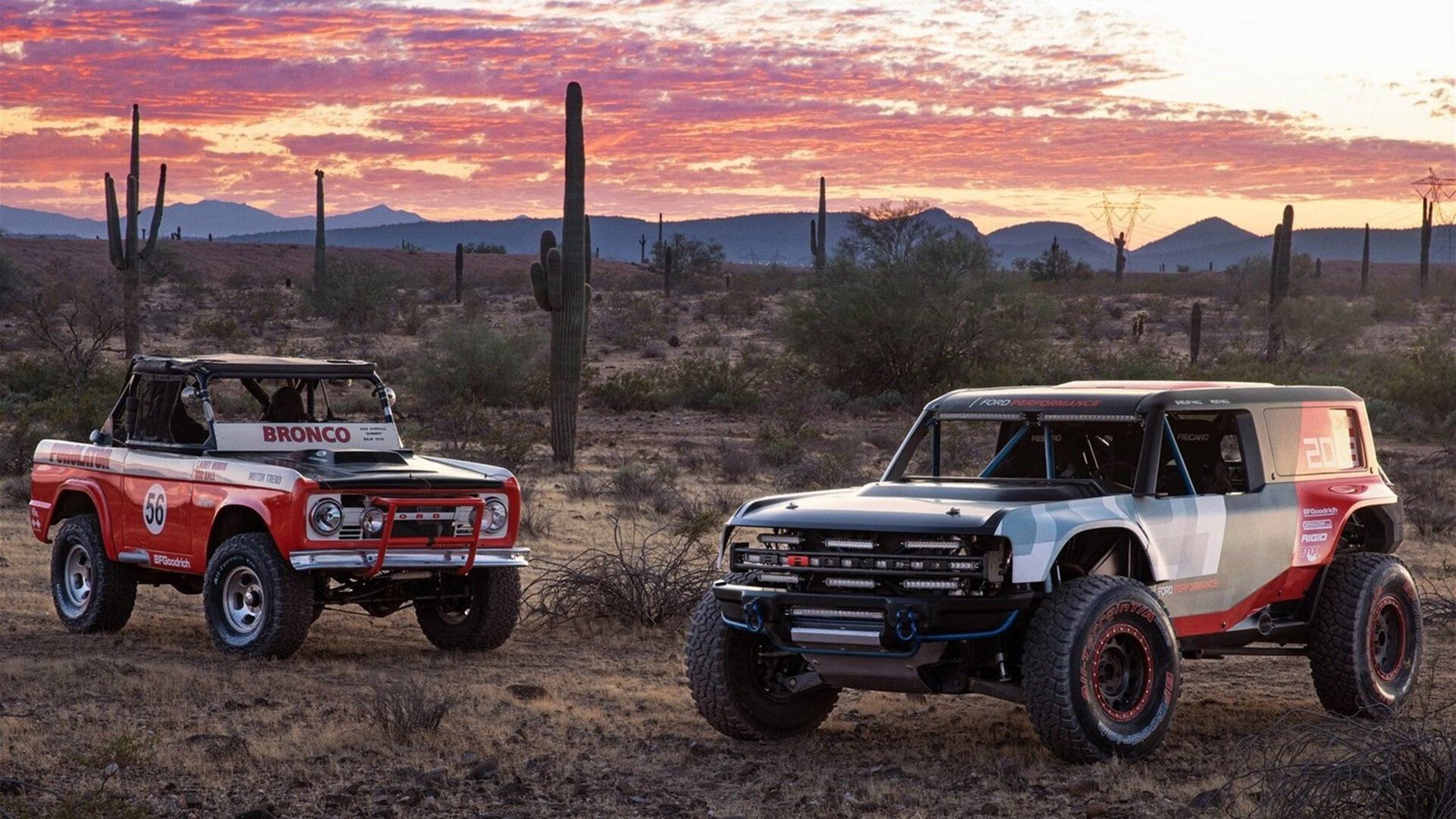 葡萄牙体育射手出色表现获教练点赞,葡萄牙国家队最佳射手