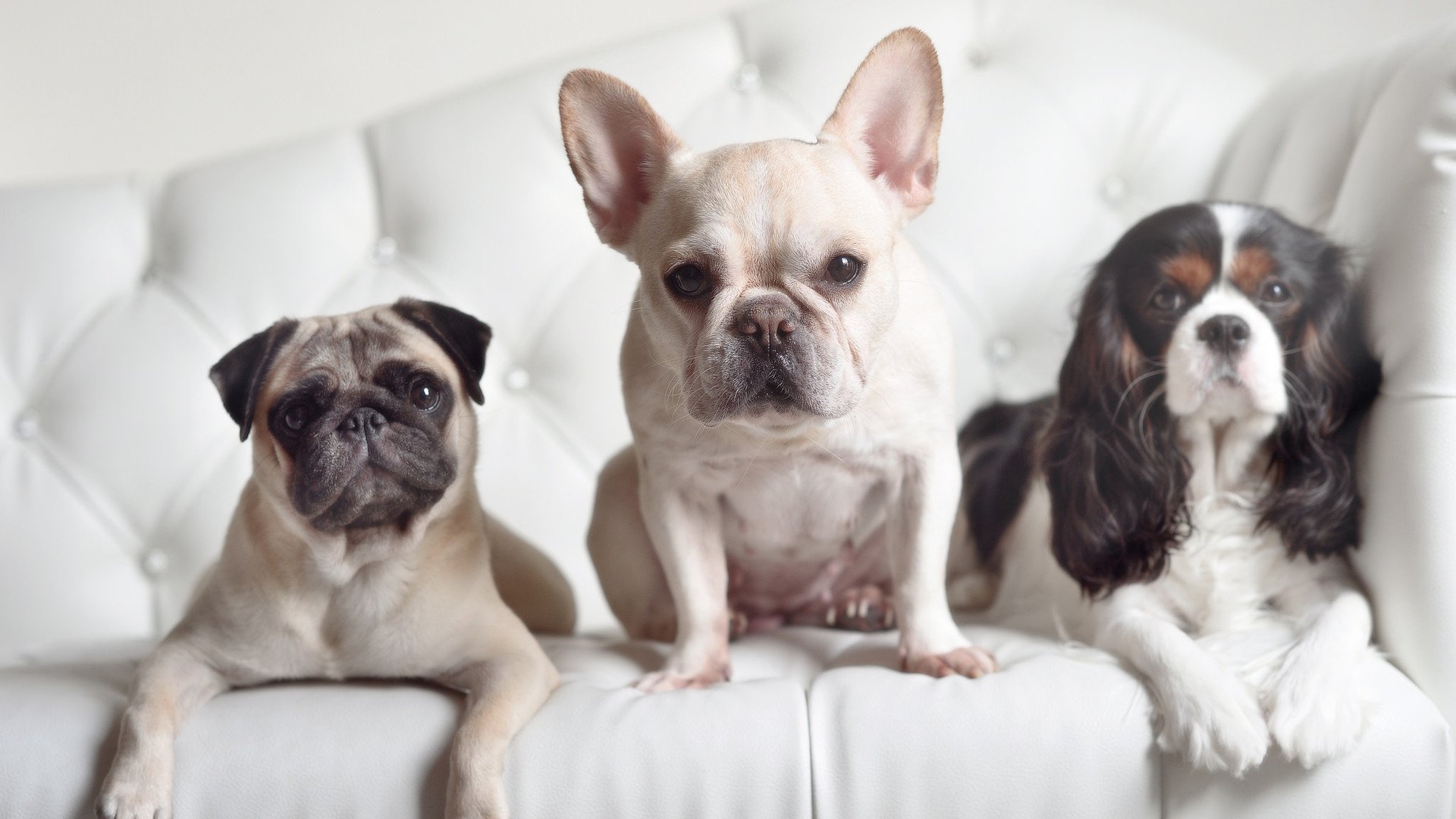 韩国星际争霸赛季总结及展望,韩国星际争霸第一人