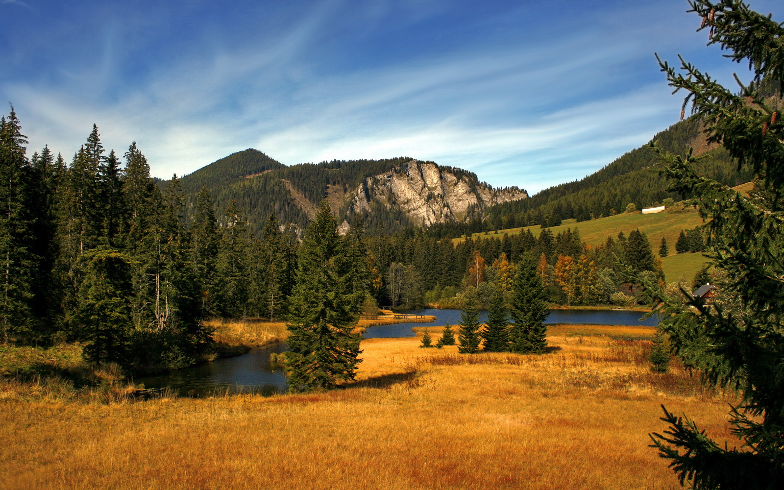中超球队年度技战术策略调整总览，中超阶段
