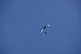 kaiyun开云·官方网站-全国青少年水上滑翔锦标赛天津盛大开幕，水上滑翔机价格