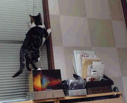 德甲青训项目视觉注意力训练提升空间感知能力的应用,专注力训练之视觉训练的顺序