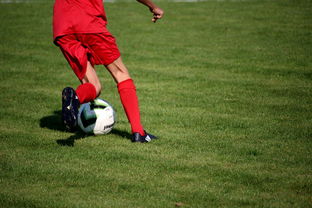 Kaiyun(中国)开云-意甲青训体系中融入情绪调节训练的效果评估，意甲青训体系中融入情绪调节训练的效果评估