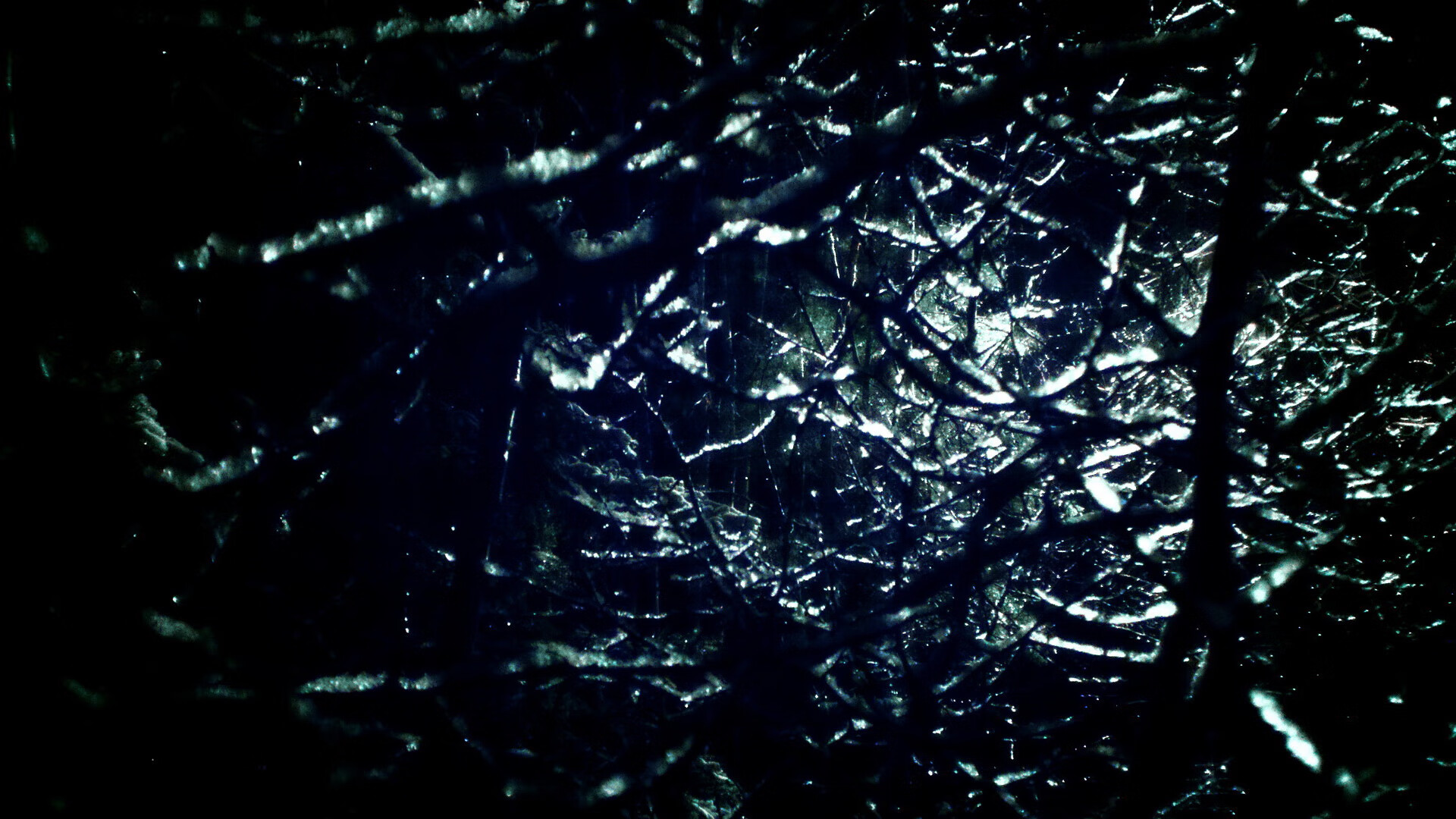 CBA青年球员迎来首秀 表现超出预期,cba青年联赛叫什么