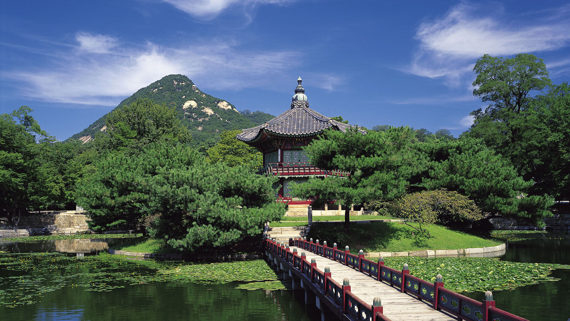 kaiyun官方网站-亚冠联赛中国女足逆袭 球迷现场热烈支持，中国女足亚运会