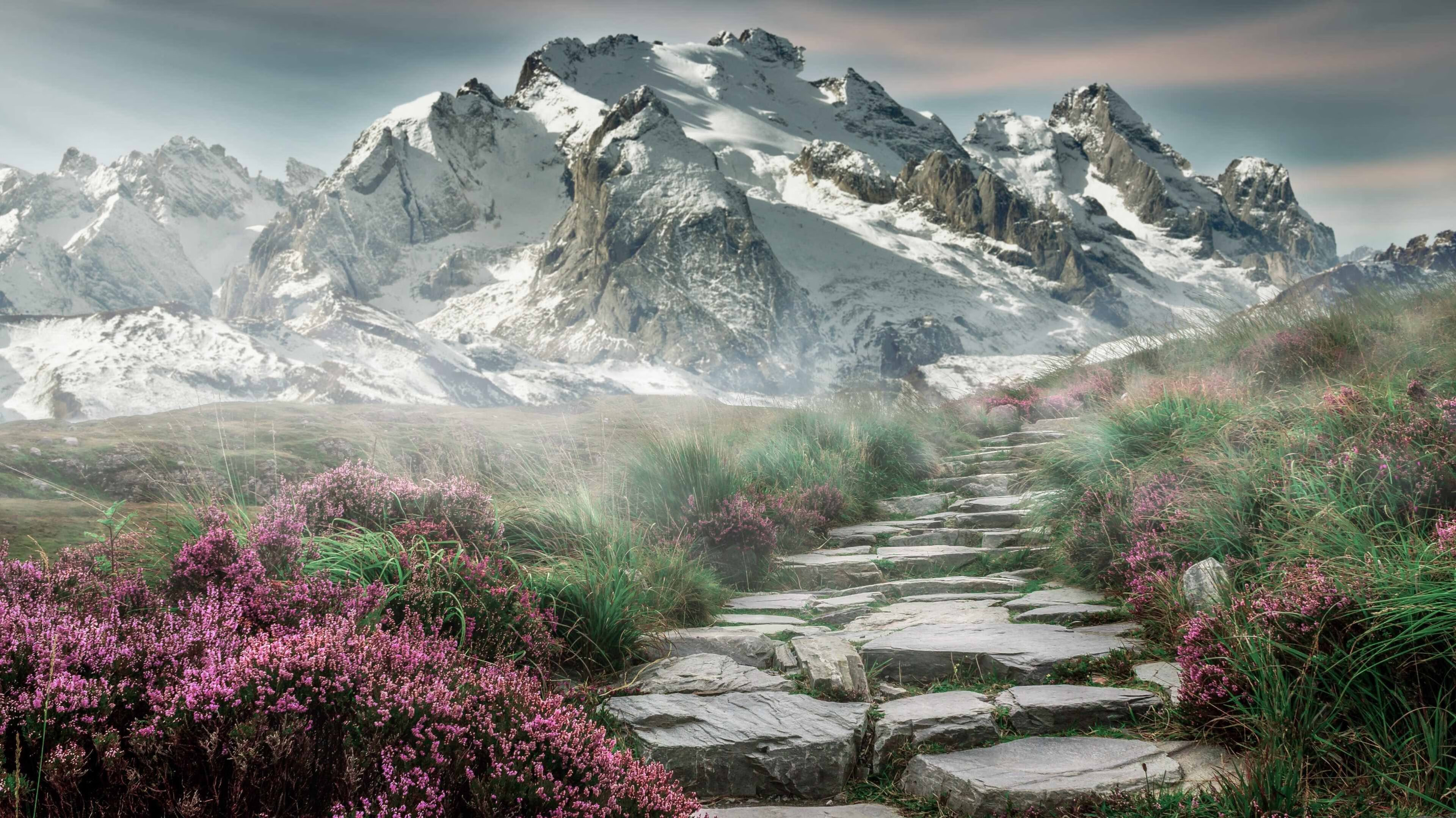 山西龙狮在新赛季实现阵容年轻化调整,山西龙晋试训球员名单