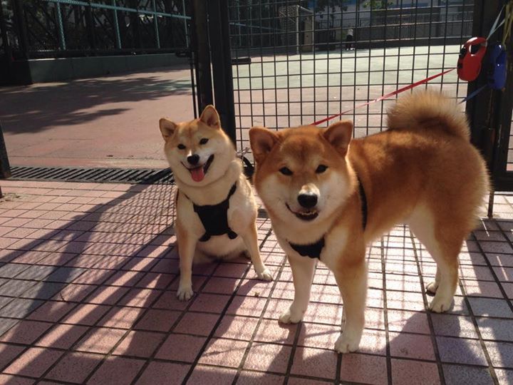 凯琳·科贝特用速度与耐力完美结合，凯特琳贝内迪克特