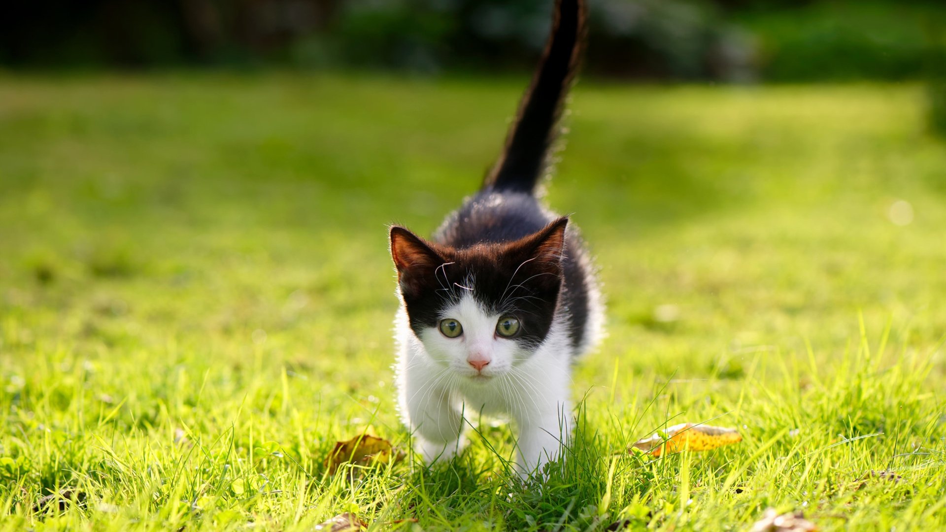 kaiyun中国官方网站-女子足球联赛注重品牌建设吸引更多观众关注，女子足球锦标赛